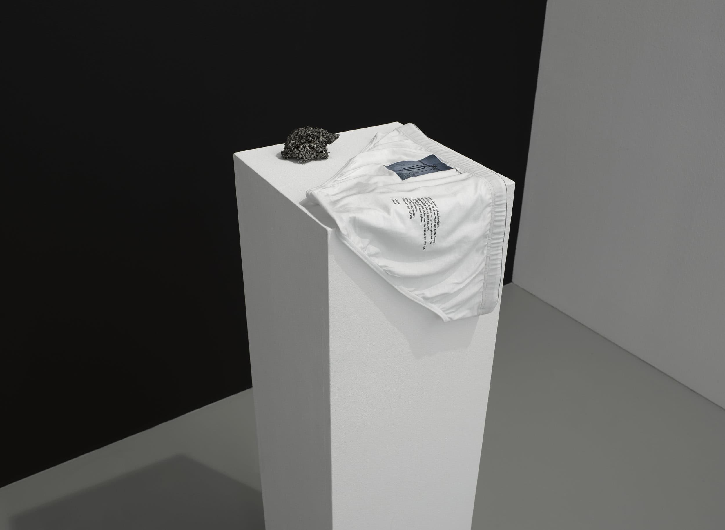 Panties as an art object
